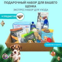 Подарочный экспресс-набор для щенка